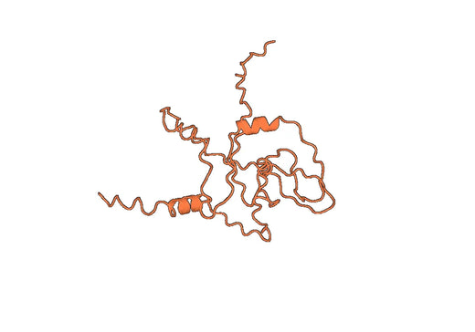 Recombinant Human RNASE11, N-His
