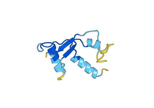 Recombinant Human RNASE13, N-His