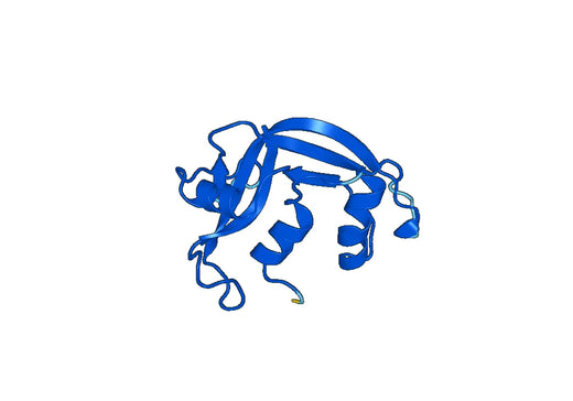 Recombinant Human RNASE3 Protein, N-His-SUMO