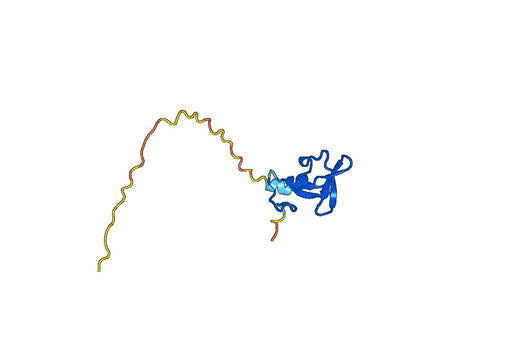 Recombinant Human RNF186 Protein, N-GST & C-His