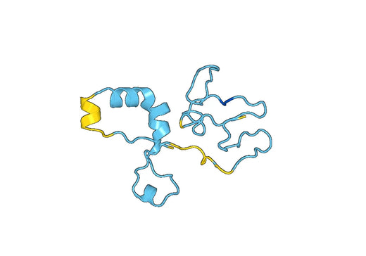 Recombinant Human ROR1, N-His
