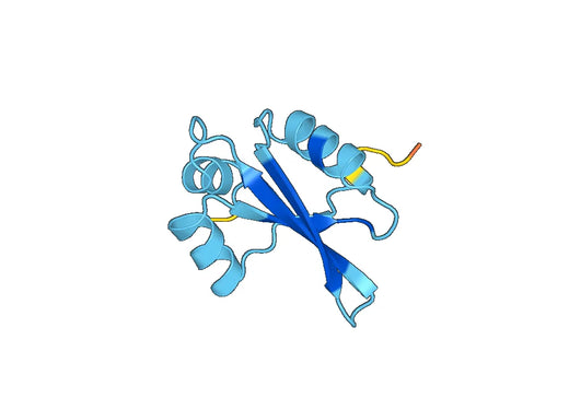 Recombinant Human RPL23A Protein, N-His-SUMO