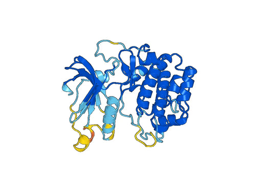 Recombinant Human RPS6KA3 Protein, N-His