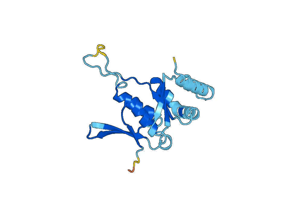 Recombinant Human RPS7 Protein, N-His