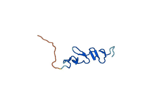 Recombinant Human RSPO1, N-His