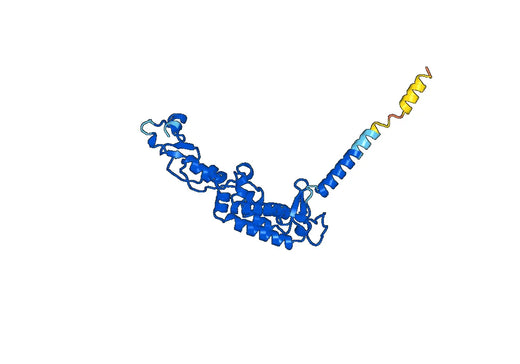 Recombinant Human RUBCN Protein, N-His