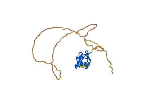 Recombinant Human RXRG, N-His