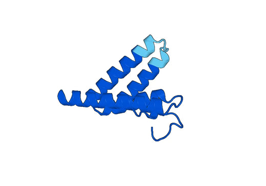 Recombinant Human SAA1 Protein, N-His-SUMO