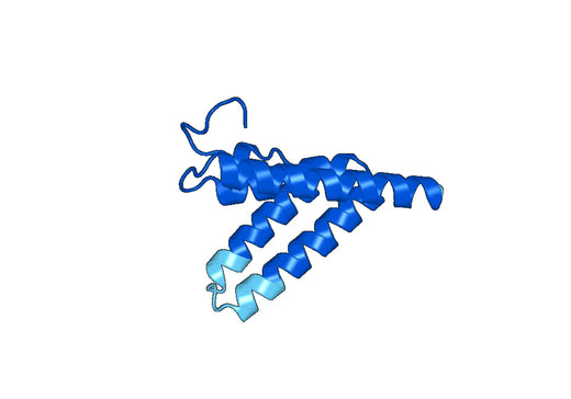 Recombinant Human SAA1 Protein, N-His