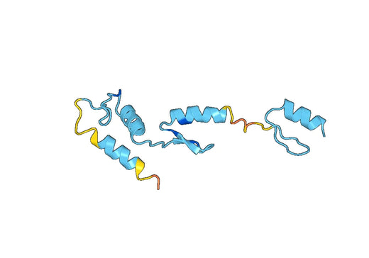 Recombinant Human SALL4 Protein, N-His-SUMO