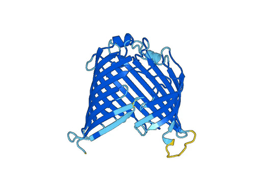 Recombinant Human SAMM50 Protein, N-His