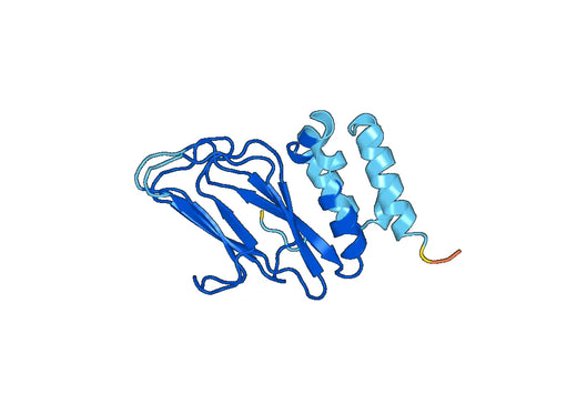 Recombinant Human SCUBE3, N-His