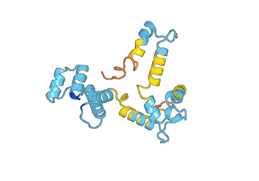 Recombinant Human SDF4, N-His