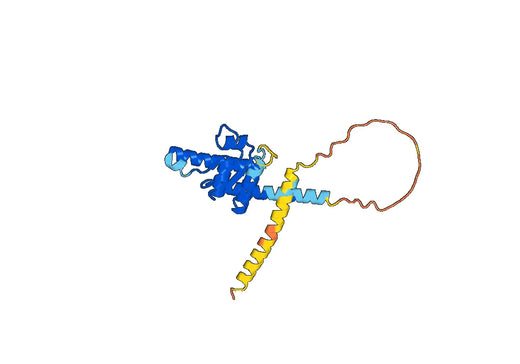 Recombinant Human SECISBP2 Protein, N-His