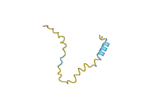 Recombinant Human SEM1 Protein, N-His-SUMO & C-Strep