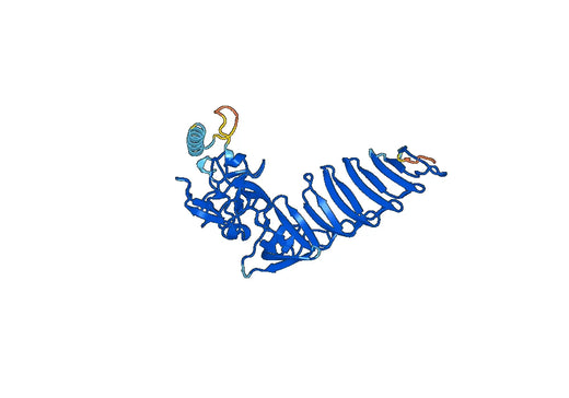 Recombinant Human SETD7 Protein, N-His