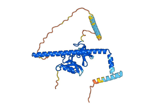 Recombinant Human SETDB1, N-His