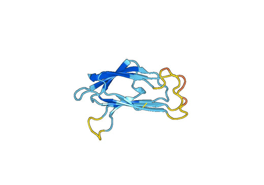 Recombinant Human SEZ6L2 Protein, N-His