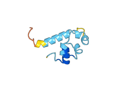 Recombinant Human SGMS1 Protein, N-His-SUMO