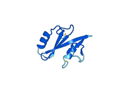 Recombinant Human SH2D1B Protein, N-His-SUMO