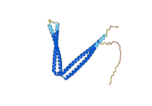 Recombinant Human SH3BP5 Protein, N-His