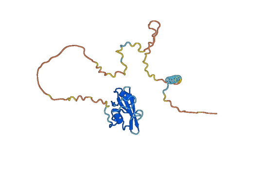 Recombinant Human SHB, N-His