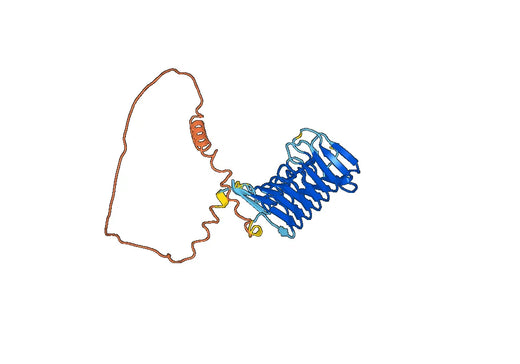 Recombinant Human SHCBP1, N-His