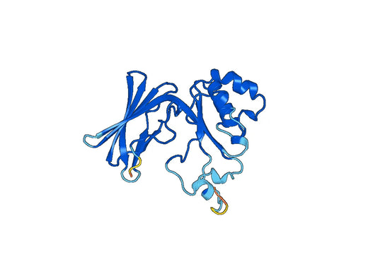 Recombinant Human SIAE, N-GST