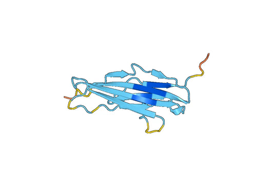 Recombinant Human SIGIRR, N-His