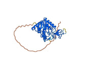 Recombinant Human SIRT6, N-His