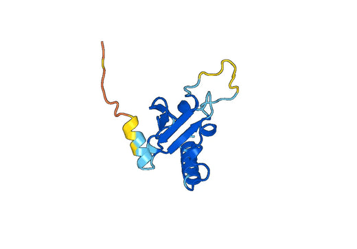 Recombinant Human SKIL Protein, N-His