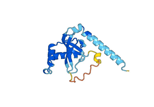 Recombinant Human SKIV2L Protein, N-His