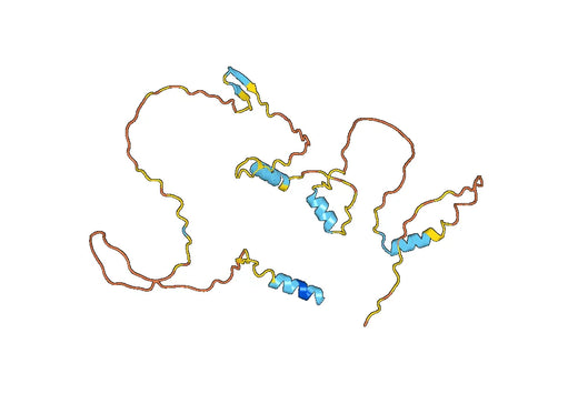 Recombinant Human SLC20A1 Protein, N-His