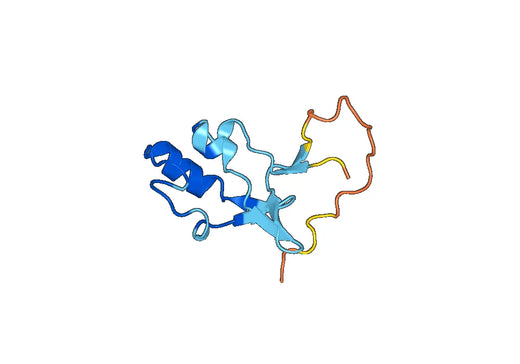 Recombinant Human SLC22A5 Protein, N-His-SUMO