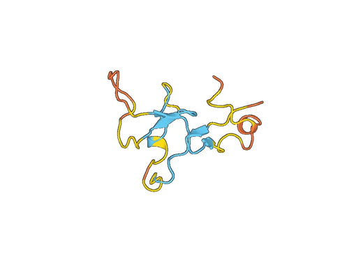 Recombinant Human SLC22A6 Protein, N-His-SUMO
