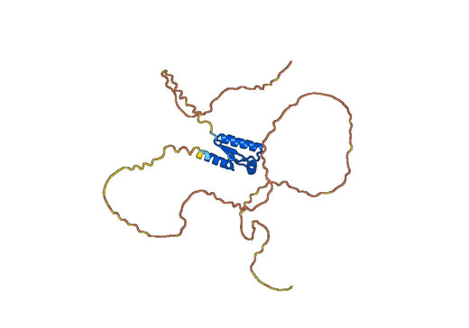 Recombinant Human SLC26A8, N-GST