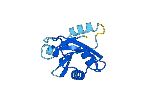 Recombinant Human SLC27A3/FATP3 Protein, N-His