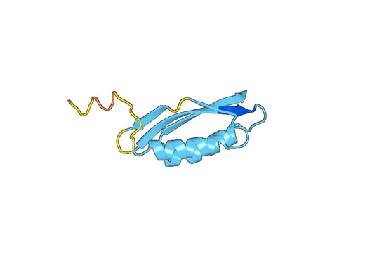 Recombinant Human SLC30A6 Protein, N-His-SUMO & C-Strep