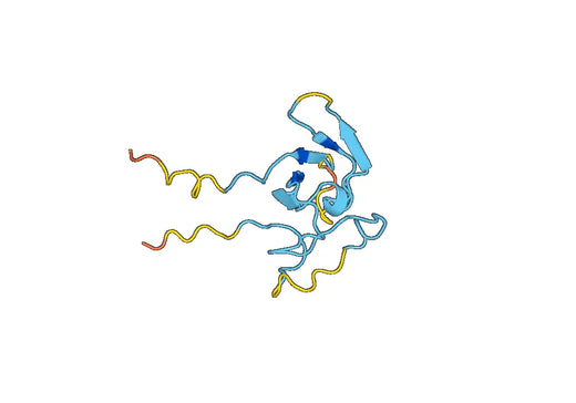 Recombinant Human SLCO1B1/LST-1/OATP-2, N-His