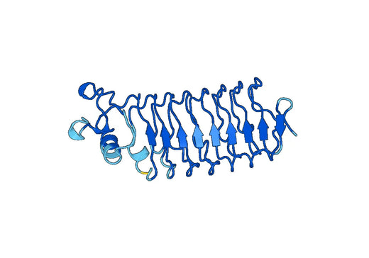 Recombinant Human SLIT3 Protein, N-His