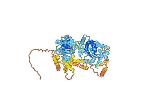 Recombinant Human SMARCA2 Protein, N-His