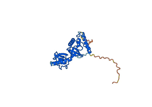 Recombinant Human SND1, N-His