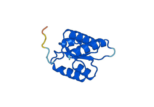 Recombinant Human SNU13 Protein, N-His