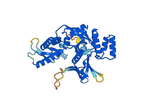 Recombinant Human SNX17 Protein, N-His