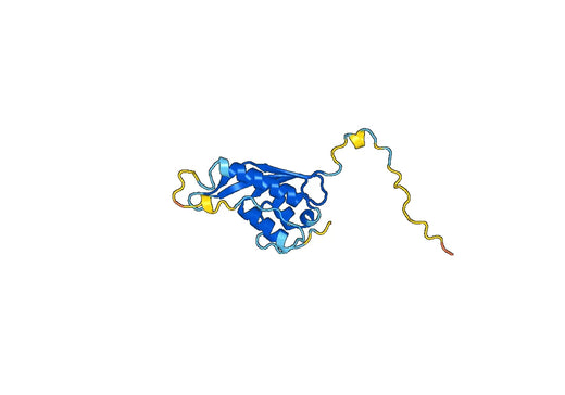 Recombinant Human SNX3 Protein, C-His
