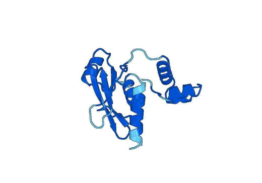 Recombinant Human SOCS1 Protein, N-His