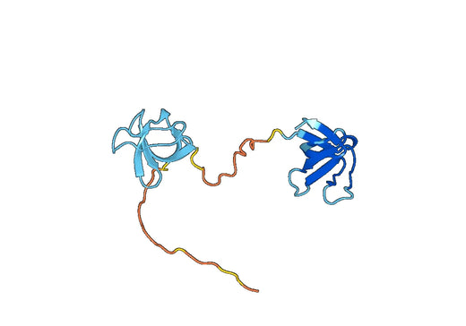 Recombinant Human SORBS1 Protein, N-His