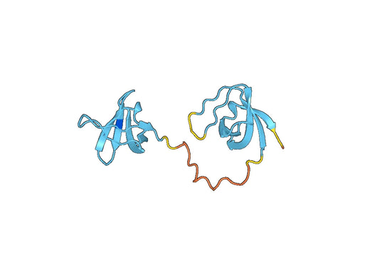 Recombinant Human SORBS2 Protein, N-His