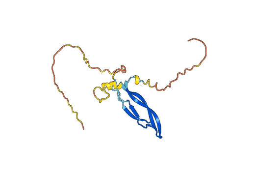 Recombinant Human SOSTDC1, N-His