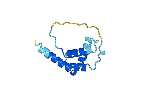 Recombinant Human SOX10 Protein, N-His-SUMO